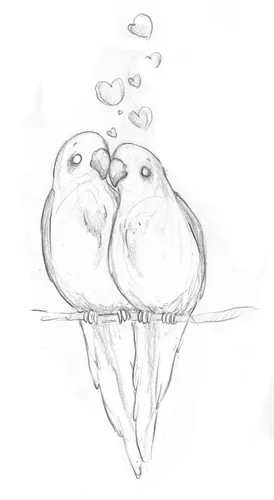 Для Срисовывания Картинки рисунок птицы