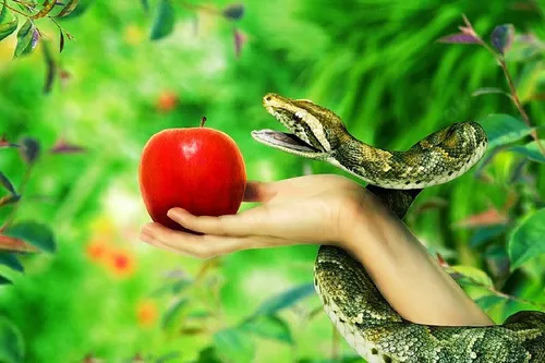 Змей Картинки птица ест фрукты