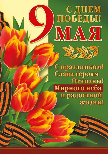 К 9 Мая День Победы Нарисованные Картинки обложка книги с оранжевыми цветами