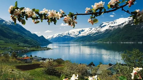 На Раб Стол Весна Картинки дерево с белыми цветами рядом с водоемом и горами