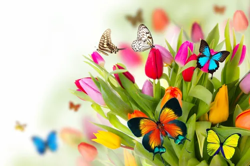 На Раб Стол Весна Картинки группа бабочек на цветке