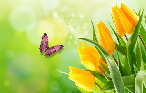 На Рабочий Стол Весна Картинки бабочка на цветке