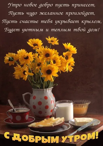 С Добрым Утром Со Смыслом Жизни Картинки тарелка подсолнухов и чашка кофе