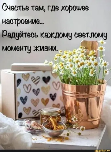С Добрым Утром Со Смыслом Жизни Картинки ваза с желтыми цветами