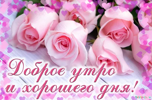 С Добрым Утром Хорошего Дня Картинки группа розовых роз