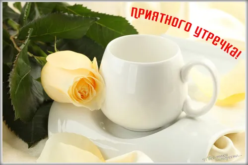 С Добрым Утром Хорошего Дня Картинки чашка белого чая с цветком на блюдце
