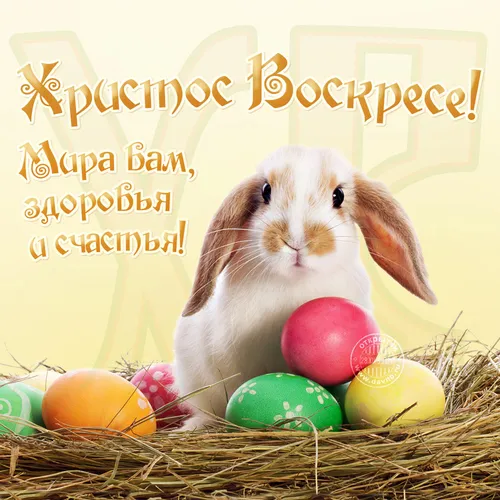 С Пасхой Воистину Воскрес Картинки кролик в корзине яиц
