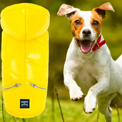 Собачек Картинки собака бежит рядом с желтым столбом