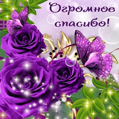 Спасибо Большое Картинки группа фиолетовых цветов