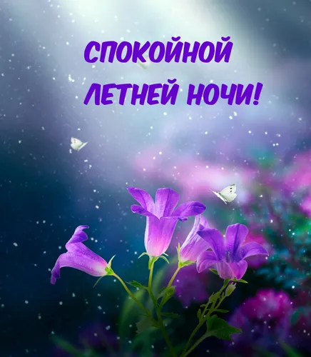 Спокойной Ночи 242 Шт Картинки группа фиолетовых цветов