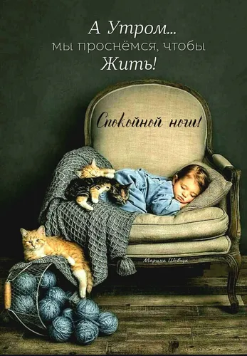 Спокойной Ночи 242 Шт Картинки мальчик спит на стуле с кошкой на коленях