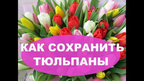 Тюльпаны Картинки букет разноцветных цветов
