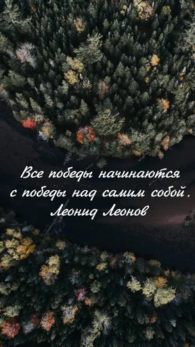 С Надписью Уже Обои на телефон дерево с множеством листьев