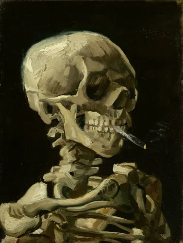 Скелеты Обои на телефон череп с острыми острыми острыми острыми острыми острыми острыми острыми острыми острыми зубами
