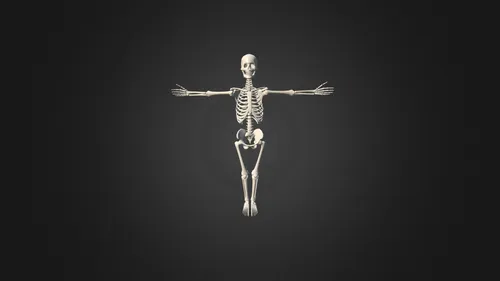 Скелеты Обои на телефон скелет с крыльями