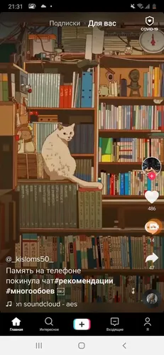 Полки Обои на телефон книжная полка с кошкой на ней