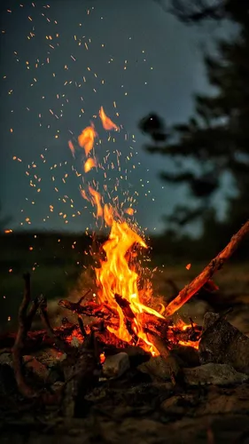 Огненные Обои на телефон пожар, горящий в лесу