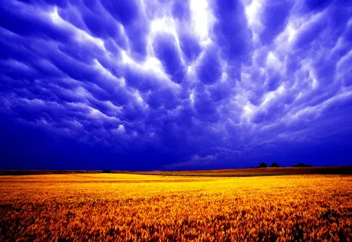Поле Обои на телефон поле коричневой травы под облачным небом