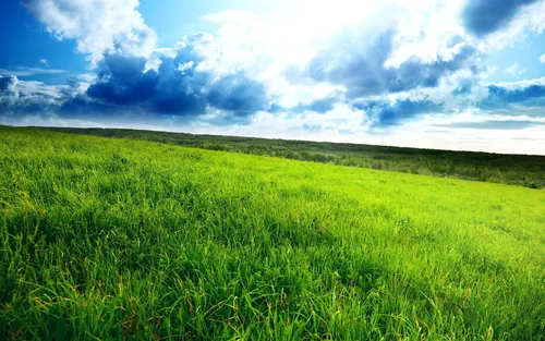 Поле Обои на телефон травянистое поле с облаками в небе