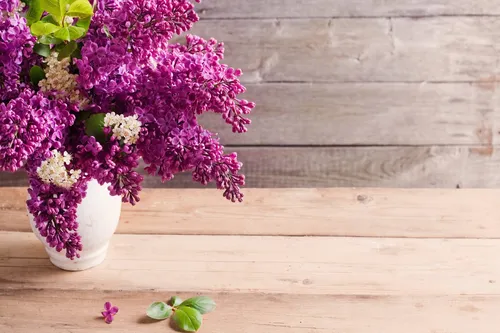 Счастливые Обои на телефон пара ваз с фиолетовыми цветами на деревянной поверхности