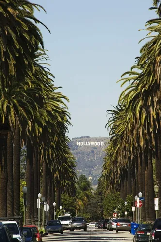 Los Angeles Обои на телефон улица с машинами и деревьями сбоку