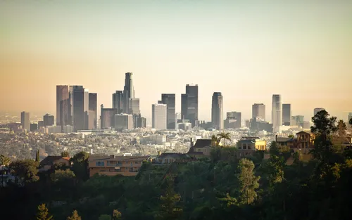 Los Angeles Обои на телефон городской пейзаж с деревьями