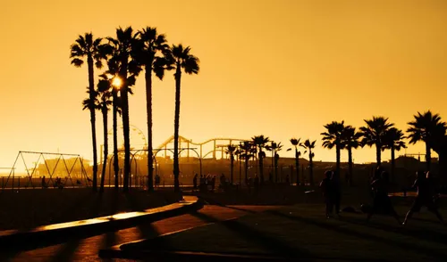 Los Angeles Обои на телефон группа людей, идущих по тропинке с пальмами и закатом