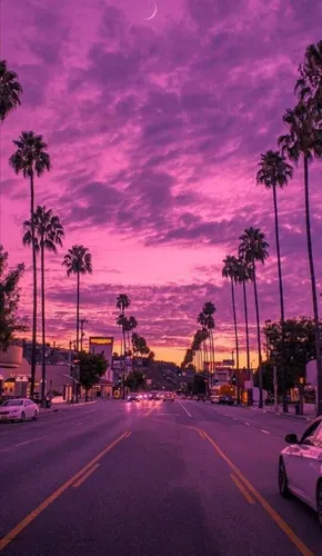 Los Angeles Обои на телефон улица с пальмами и зданиями