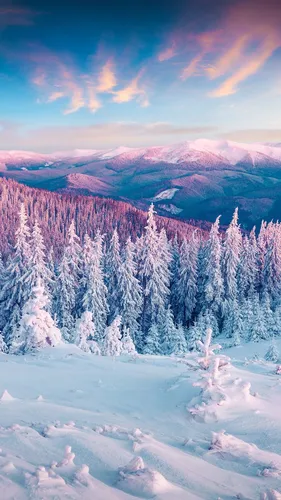 Зимние Обои на телефон снежная гора с деревьями