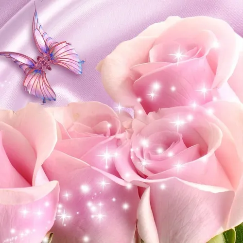 Анимационные Обои на телефон розовый цветок с каплями воды