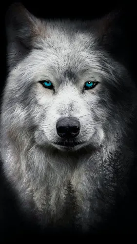 Волк Hd Обои на телефон белый волк с голубыми глазами