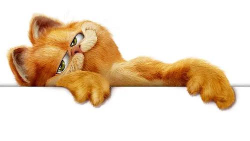 Гарфилд Обои на телефон кошка, лежащая на спине