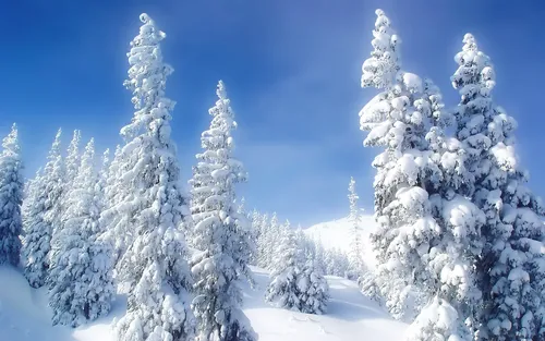 Картинки Зима Обои на телефон 2022