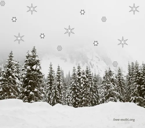 Картинки Зима Обои на телефон заставка