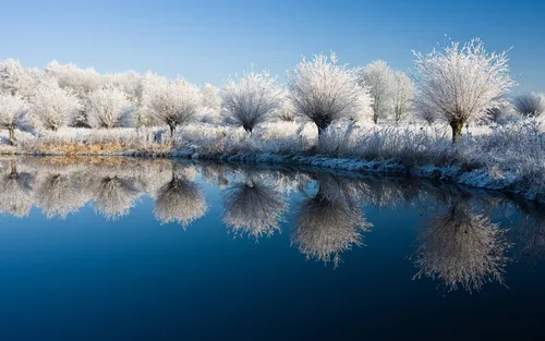 Картинки Зима Обои на телефон водоем с деревьями сзади
