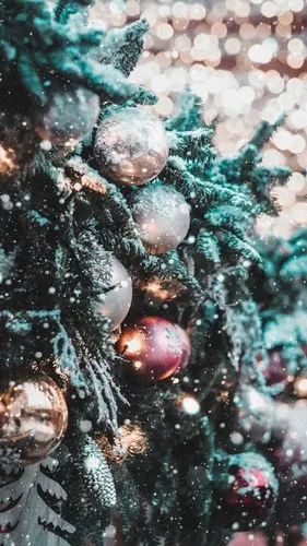 Картинки Зима Обои на телефон дерево крупным планом
