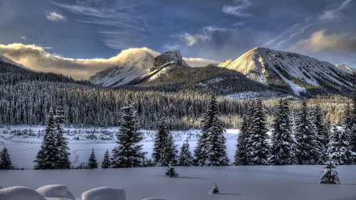 Картинки Зима Обои на телефон снежный пейзаж с деревьями и горами