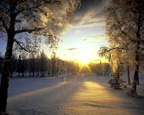 Картинки Зима Обои на телефон дорога с деревьями на обочине