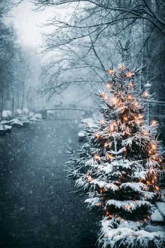 Картинки Зима Обои на телефон фото на Samsung