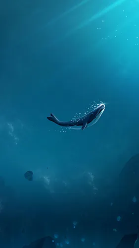 Кит Обои на телефон акула плавает в воде
