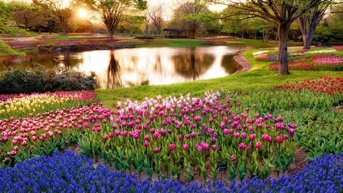 Красивые Весна Обои на телефон пруд с цветами и деревьями вокруг него