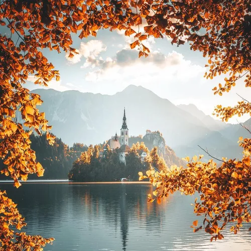 Красивые Осенние Обои на телефон водоем с деревьями вокруг него и зданием вдалеке
