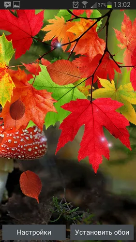 Красивые Осенние Обои на телефон группа красных и желтых листьев