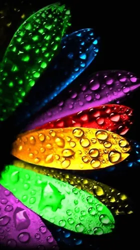 Красивые Яркие Обои на телефон группа разноцветных печенья