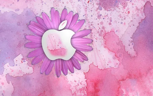 Крутые Цветы Обои на телефон фиолетовый цветок на розовой поверхности