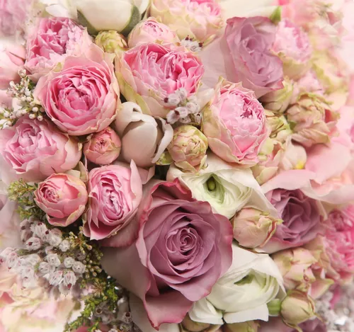 Крутые Цветы Обои на телефон группа розовых и желтых цветов