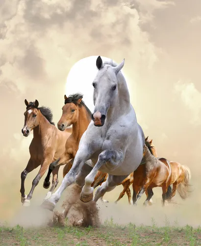 Лошадь Фото Обои на телефон группа лошадей бежит