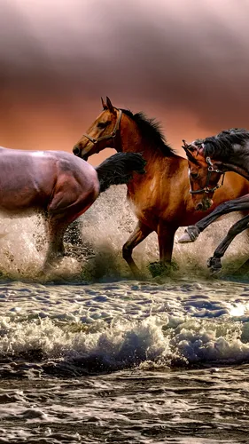 Лошадь Фото Обои на телефон лошади бегут в воде