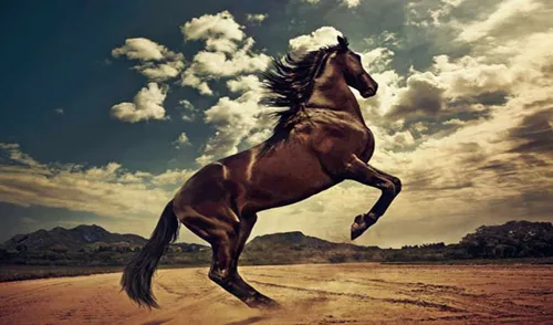Лошадь Фото Обои на телефон лошадь бежит по пустыне