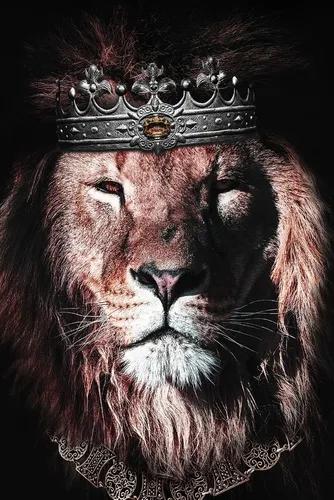 Львы Обои на телефон лев с короной